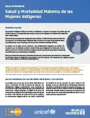 Salud y Mortalidad Materna de las Mujeres Indígenas