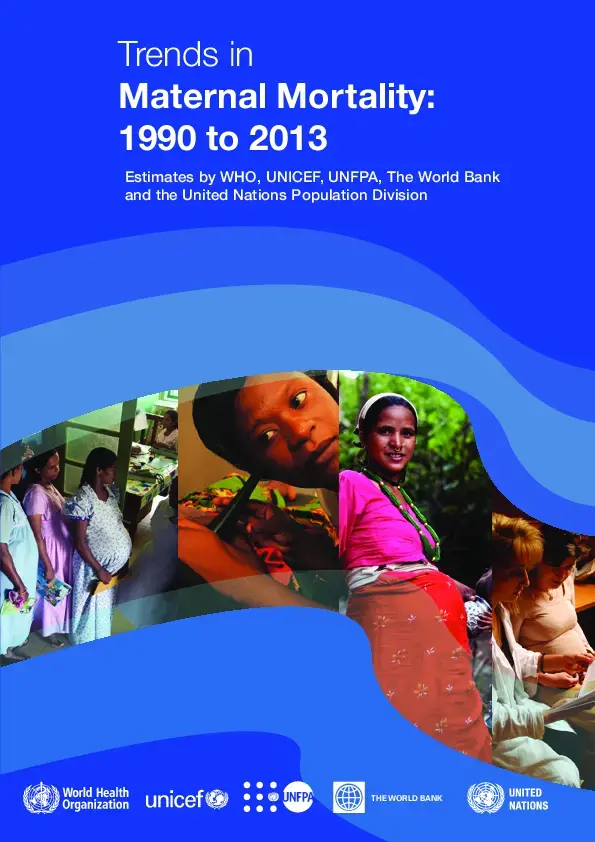 Trends in Maternal Mortality: 1990 to 2013