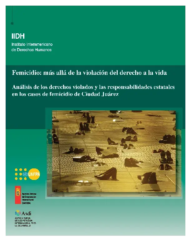 Femicidio: Más Allá de la Violación del Derecho a la Vida