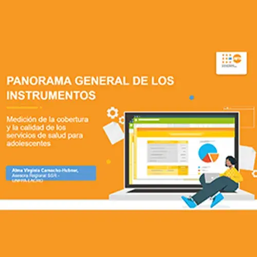 Anexo: Panorama general de los instrumentos