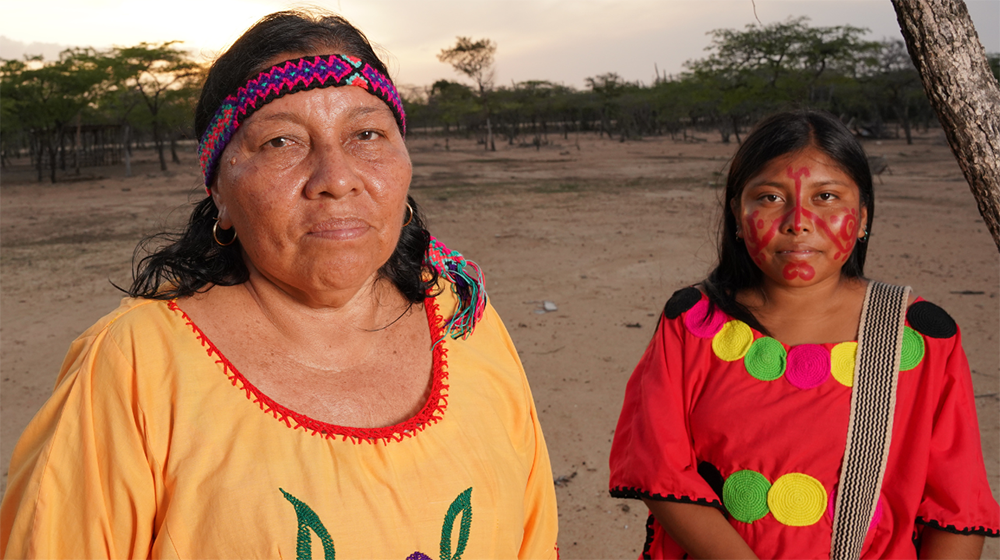 Gender Equality and Human Rights